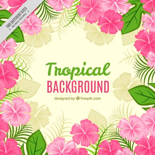 background,flower,floral,tree,flowers,nature,floral background,pink,spring,leaves,tropical,backdrop,plant,flower background,palm tree,natural,nature background,palm,blossom,spring background