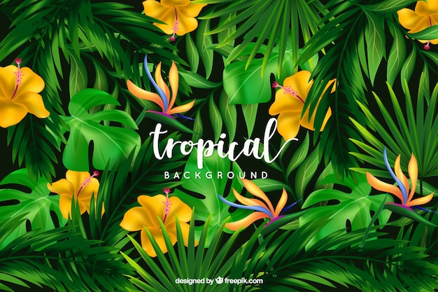  background, flower, floral, flowers, floral background, nature, leaves, tropical, plant, flower background, natural, nature background, palm, blossom, beautiful, palm leaf, tropical flowers, wild, background flowers, tropical flower, palm leaves, bloom, exotic, vegetation, blooming, exotic flowers, with