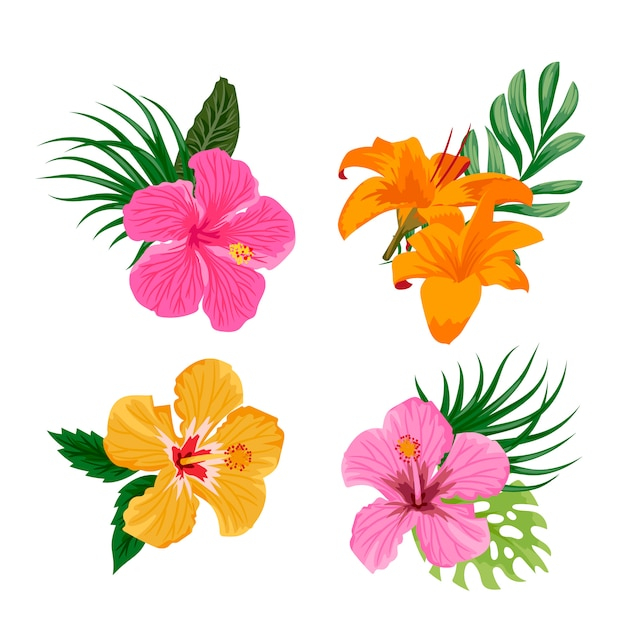  flower, floral, flowers, pink, leaves, orange, tropical, yellow, palm, branch, pink flower, tropical flowers, yellow flower, orange flower, arrangement, floral arrangement