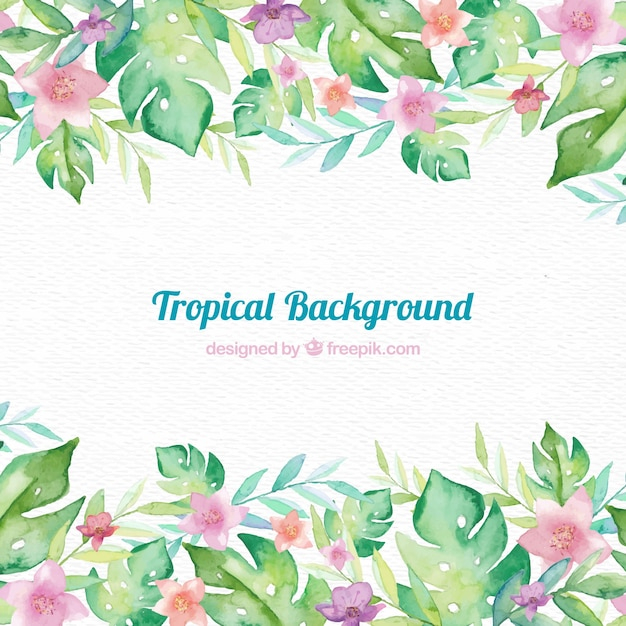  background, flower, frame, floral, flowers, floral background, nature, wallpaper, leaves, tropical, backdrop, plant, flower background, natural, nature background, palm, blossom, beautiful, tropical flowers, background flowers
