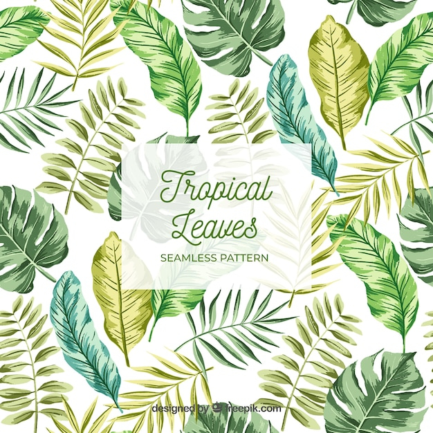 background,pattern,leaf,leaves,tropical,background pattern,backdrop,plants,pattern background,leave,leaf pattern,leafs,tropical leaf,tropical leave