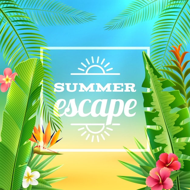  background, flyer, poster, tree, flowers, cover, design, summer, template, leaf, green, floral background, nature, green background, beauty, red, red background, typography, layout, wallpaper, art, text, tropical, flower background, colors, banana, environment, illustration, nature background, plants, decorative, title, print, growth, hawaii, branch, summer background, green leaves, blossom, tree branch, season, tropical flowers, floral design, hibiscus, petal, foliage, frangipani, climate, florals, stem, rainforest, exotic, gardens, botany, lush, frond