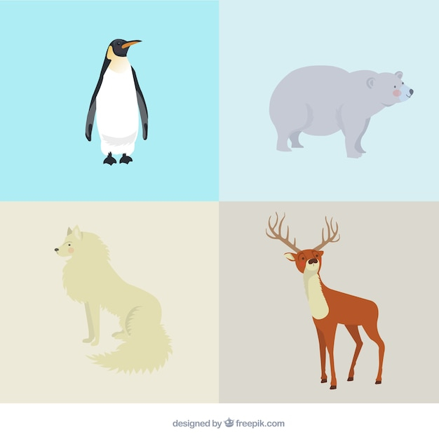 nature,animal,cute,animals,bear,reindeer,deer,wolf,natural,illustration,penguin,cute animals,polar bear,variety,polar,arctic