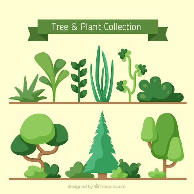leaf,nature,leaves,plant,eco,natural,trees,plants,pot,flowerpot,ecological,variety,vegetation,grove