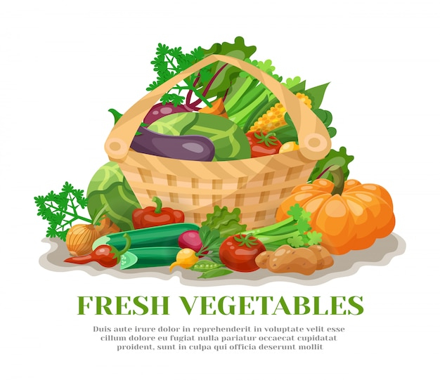 food,icon,leaf,green,red,orange,vegetables,colorful,white,organic,natural,healthy,basket,life,salad,healthy food,food icon,bell,tomato,element