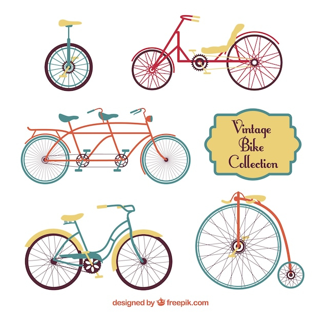 vintage,design,sport,fitness,health,sports,bike,bicycle,flat,transport,healthy,flat design,exercise,chain,training,life,cycle,cycling,workout,healthy lifestyle