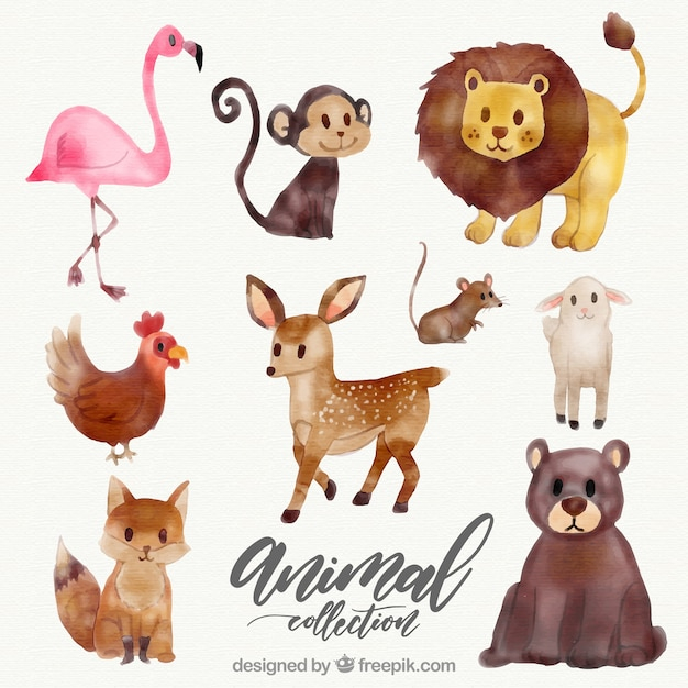  watercolor, nature, animal, cute, happy, lion, animals, bear, colorful, monkey, fox, rooster, mouse, flamingo, cute animals, cool, lovely, lamb, pack, artistic