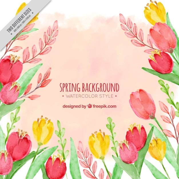 background,flower,watercolor,floral,flowers,nature,floral background,watercolor flowers,watercolor background,spring,backdrop,plant,flower background,natural,nature background,blossom,spring background,beautiful,season,spring flowers