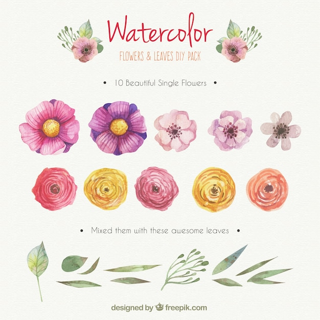  flower, watercolor, floral, flowers, hand, nature, paint, watercolor flowers, leaves, garden, natural, hand painted, gardening, pack, diy, horizontal, painted, natur, customizable