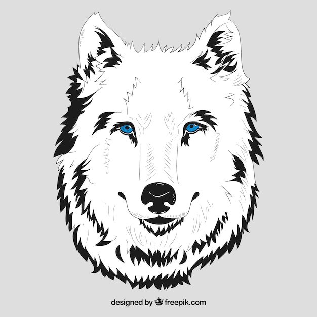 Free: White head of wolf with blue eyes - nohat.cc