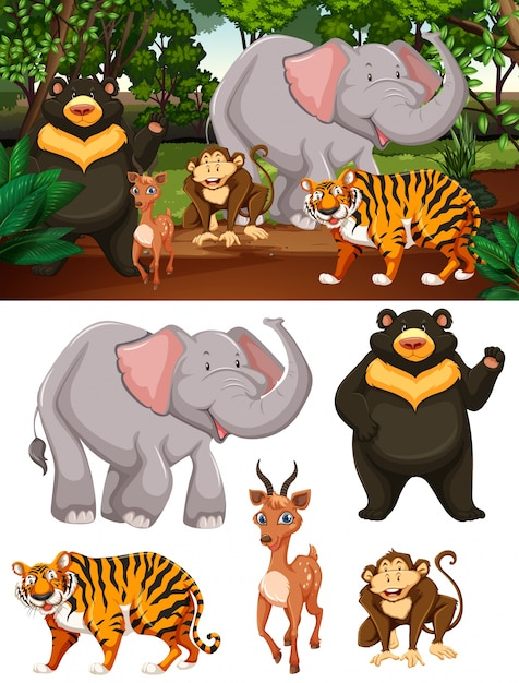  background, nature, character, animal, forest, landscape, art, animals, graphic, bear, deer, tropical, elephant, wood background, monkey, drawing, jungle, tiger, illustration