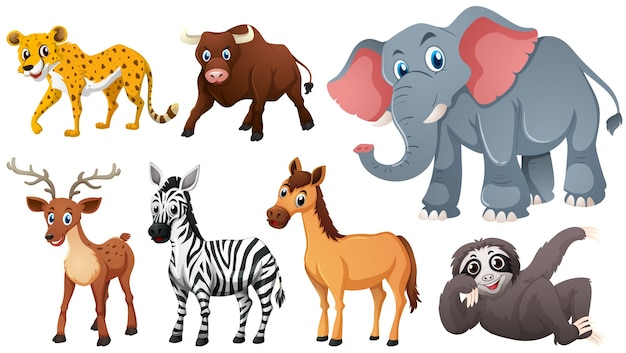  background, nature, animal, cute, art, white background, animals, graphic, horse, deer, tropical, elephant, drawing, white, nature background, group, bull, picture, zebra, cute animals