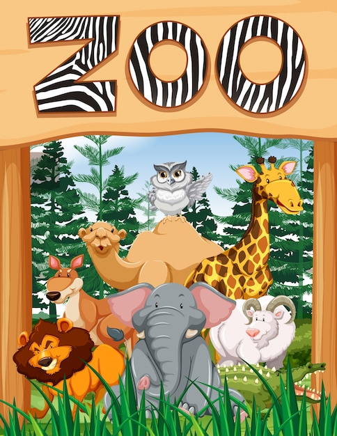  background, tree, nature, animal, lion, animals, owl, tropical, sign, elephant, wood background, environment, illustration, nature background, zoo, goat, giraffe, camel, crocodile, kangaroo