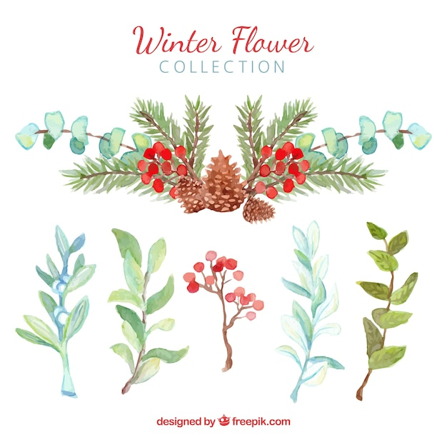 flower,watercolor,floral,winter,snow,flowers,green,nature,watercolor flowers,red,leaves,plant,natural,december,watercolour,cold,blossom,beautiful,season,pack