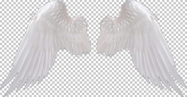 wing,png,angle wing,white wing,angle wings,angle,angles,winged,christmas wings,christmas