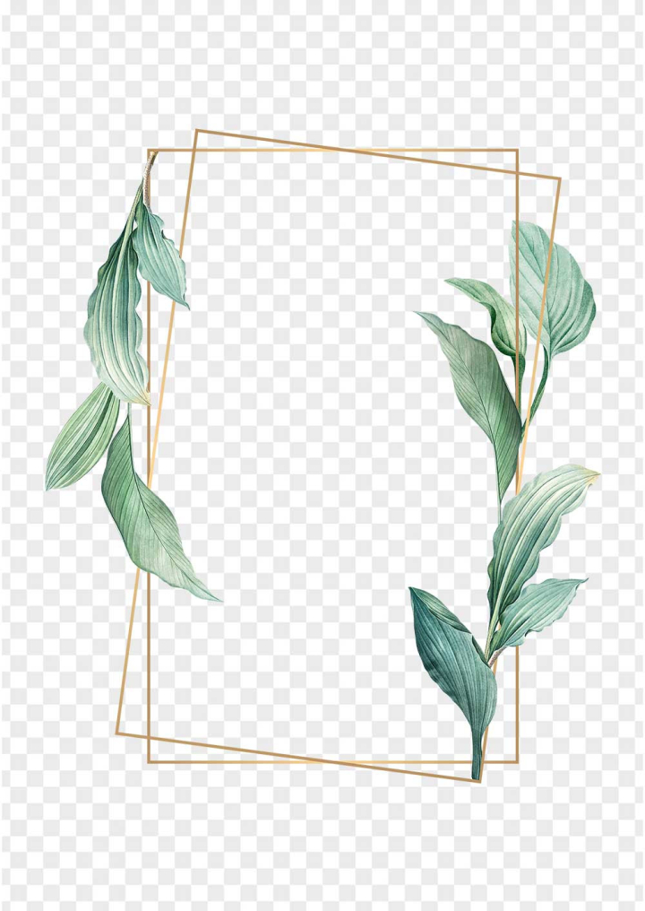 frame,png,golden,botanical,gold,poster,illustration,badge,banner,blank,brochure,card,colored,creative,decorated,decorative,design,drawing,empty,evergreen,flyer,flyer template,foliage,framed,green,green leaf,greenery,hand drawn,handout,illustrated,invitation card,isolated on white,jungle,leaflet,leaves,lush,natural,nature,paint,paper,pattern,plant,print,printed,rectangle,spring,tropical,tropics,various,white,white background,comrawpixel,rawpixel 594526