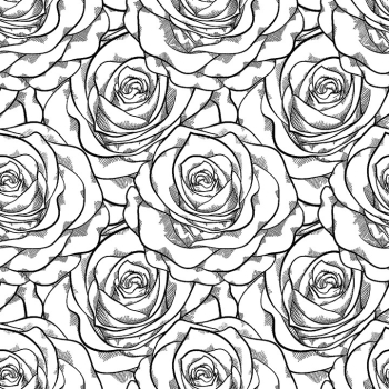 roses linear pattern linear art