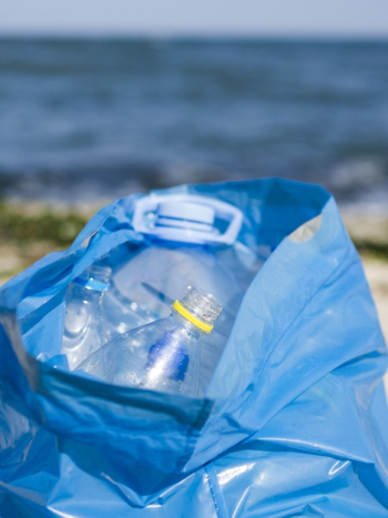 Free: Crumpled plastic bottle polluting the ocean