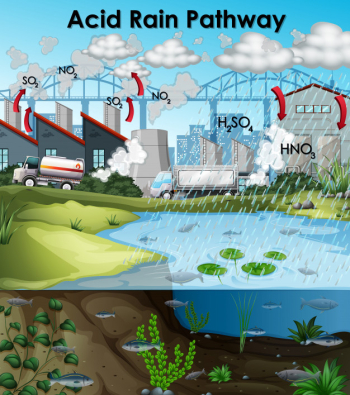 How to draw Acid Rain drawing easy | Acid Rain Poster drawing - YouTube