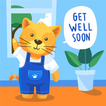 Get well soon panda Stock Vector by ©owainphyfe 185134988