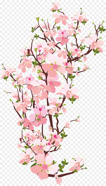 National Cherry Blossom Festival Branch - sakura 