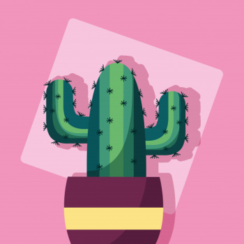 Free Vector, Cute cactus collection in flat design