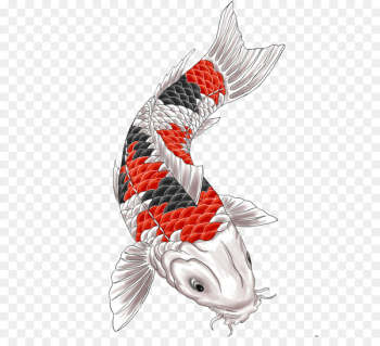 Free: Koinobori Japan Illustration Vector graphics - fish flag 