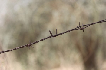 Free: Transparent barbed wire fence PNG Format Image With Size 1024*724   