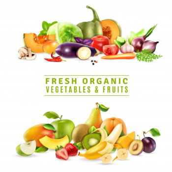 Fresh vegetables and fruits illustration