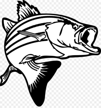 Free: Bass fishing Largemouth bass Clip art - Fishing png download  