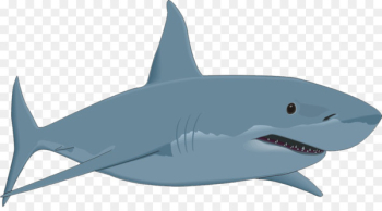 bull shark cartoon