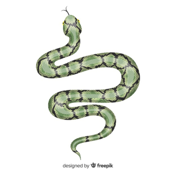 Snake Drawing Stock Photos and Images - 123RF