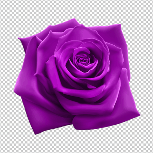 hd flower with transparent background png