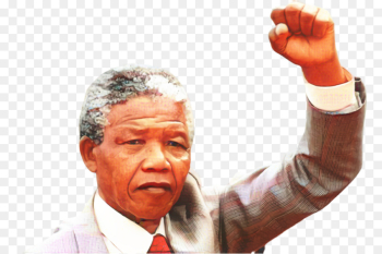 The Mandela Catalogue, The Mandela Catalogue Wiki