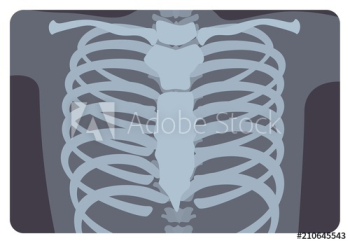 Free: T-shirt Rib cage Roblox Hoodie - T-shirt png download - 500*546  