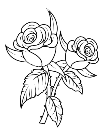 Black And White Flower png download - 732*709 - Free Transparent Garden  Roses png Download. - CleanPNG / KissPNG