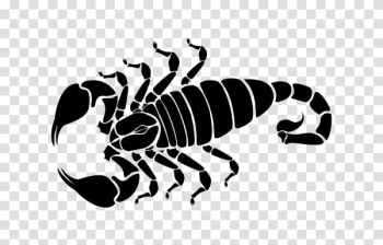 Share 100 about scorpion tattoo outline super cool  indaotaonec