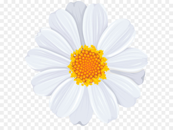 Free: Smiley Flower Common daisy , flower illustration transparent ...