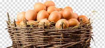 Eggs PNGs for Free Download