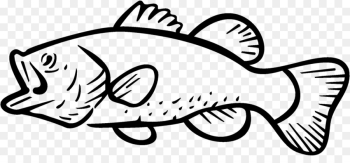 Free: Bass fishing Largemouth bass Clip art - Fishing png download  