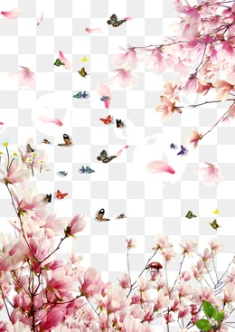 Sakura Kinomoto Cardcaptor Sakura: Clear Card Cartes de Clow Clamp, sakura  transparent background PNG clipart