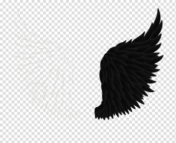 Angel Wings Vector Png - Black Angel Wings Transparent Background