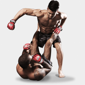 Mma Fighter With Gloves And Muscle, Mixed Martial Arts, Warrior, Muscle PNG  and Vector with Transparent Background for Free Download