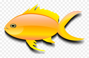 Fish Png - Imagen De Pez Real - Free Transparent PNG Download - PNGkey