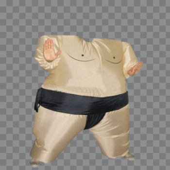 Roblox Young Woman transparent PNG - StickPNG