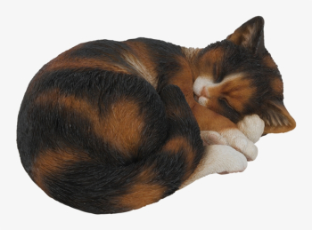 Free: Sleeping Cat Black/whit Real Life Resin Ornament By - Black Cat  