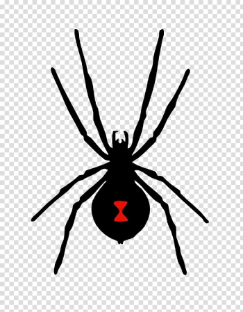 Spider diagram - Top vector, png, psd files on