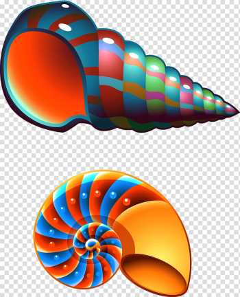 Free: Seashell Mollusc shell Royal Dutch Shell Mermaid Desktop Wallpaper -  ariel Shell 