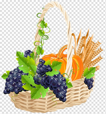 Fresh fruit basket fresh fruits basket colorful fruits green fruits png  transparent background Ai Generated 24991947 PNG