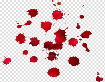 blood drops clip art